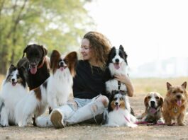 13 Dog Breeds That Are Great with Kids